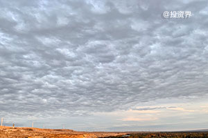 李亚鹏茶圈带货成顶流